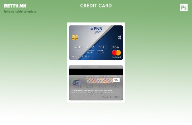 Модерен стил Шаблон за мастер картички на Народната банка на Филипините (PNB).